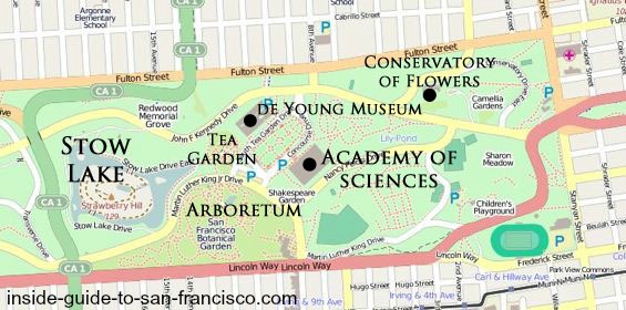 The California Academy Of Sciences A Locals Tips