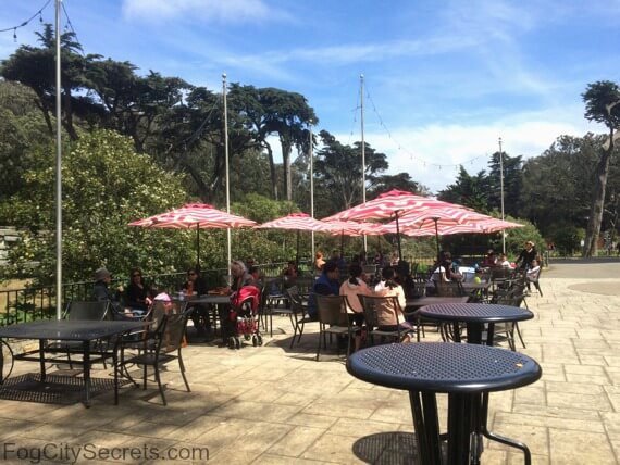 great restaurants near san diego zoo great restaurants near san diego zoo