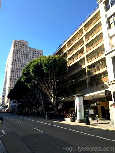 new year parade san francisco route sf new year parade route for 2017 best viewing spots new year parade san francisco route sf new year parade route for 2017 best viewing spots