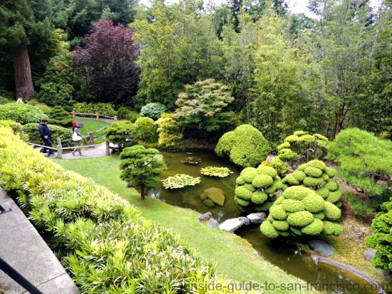 Japanese Tea Garden San Francisco