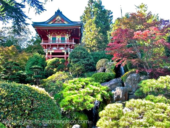 Japanese Tea Garden San Francisco