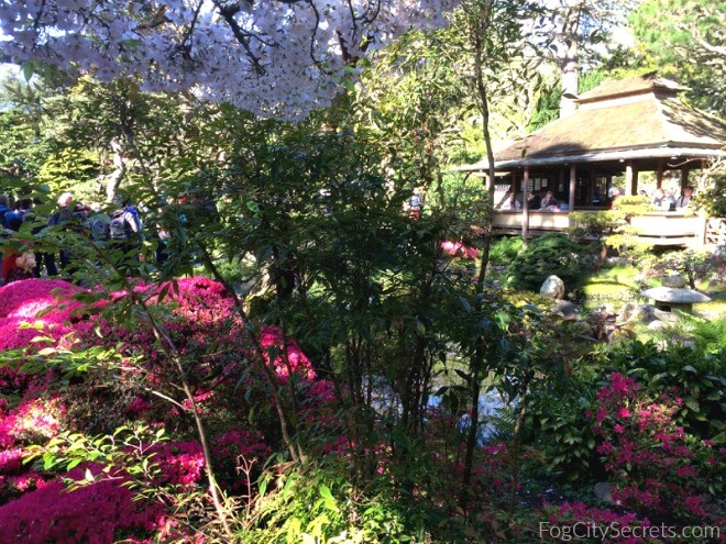 Japanese Tea Garden San Francisco