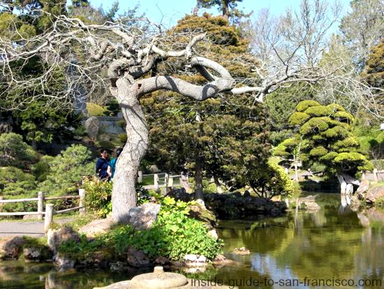 Japanese Tea Garden San Francisco