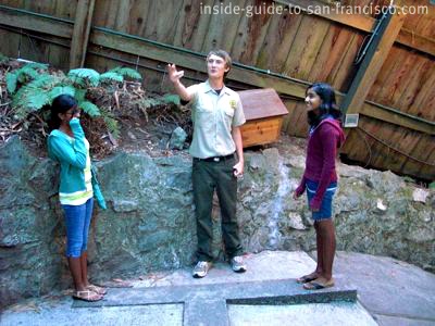 The Mystery Spot Santa Cruz: enter the Vortex!