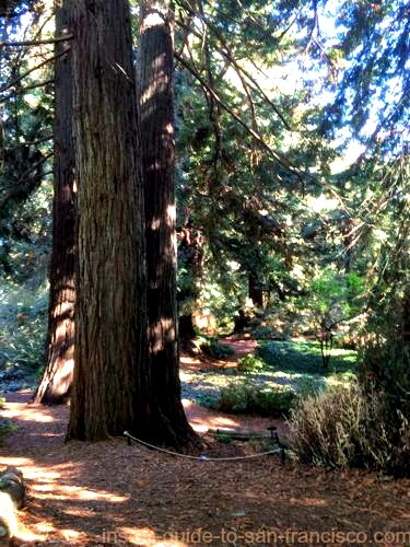 Botanical Garden Of San Francisco