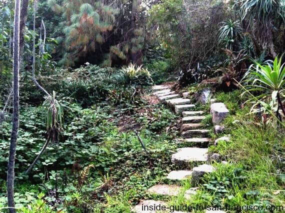 Botanical Garden Of San Francisco