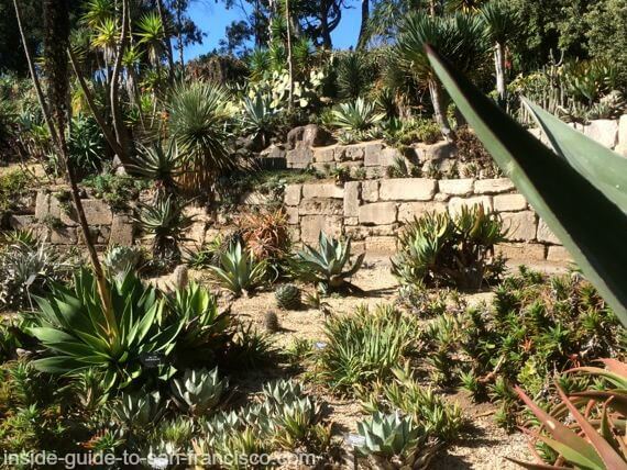 Botanical Garden Of San Francisco