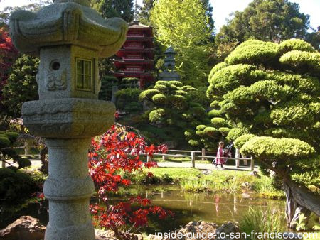 Japanese Tea Garden San Francisco