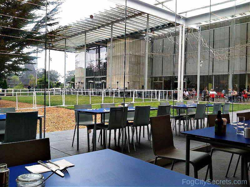 Terrace Cafe at the Academy of Sciences Museum