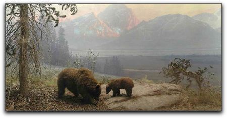 Bears in Montana, California Academy of Sciences Bears in Montana, California Academy of Sciences