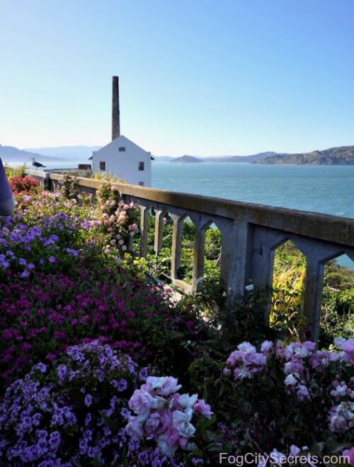 Flower garden on Alcatraz Island and Power Station