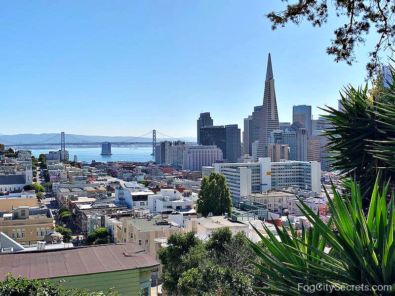 Downtown San Francisco view and Bay from Ina Coolbrith Park