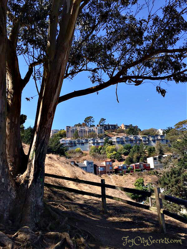 Diamond Heights neighborhood from Billy Goat Hill