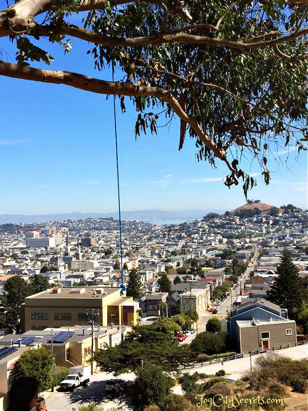 Missing Half of the Rope Swing at Billy Goat Hill SF