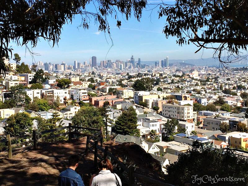 View of downtown San Francisco from Billy Goat Hill