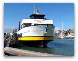 Blus and Gold Ferry thumbnail