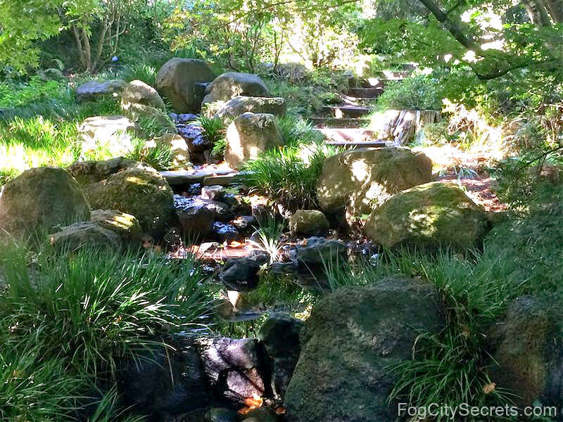 Waterfall Garden in the SF Botanical Gardens