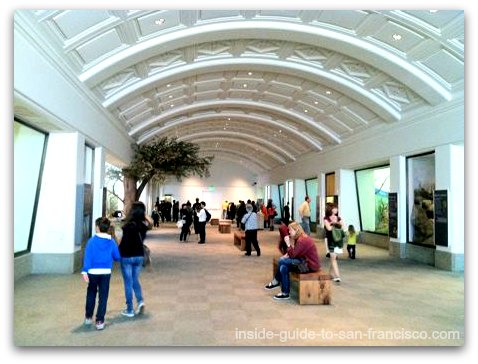 The African Hall, California Academy of Sciences Museum The African Hall, California Academy of Sciences Museum