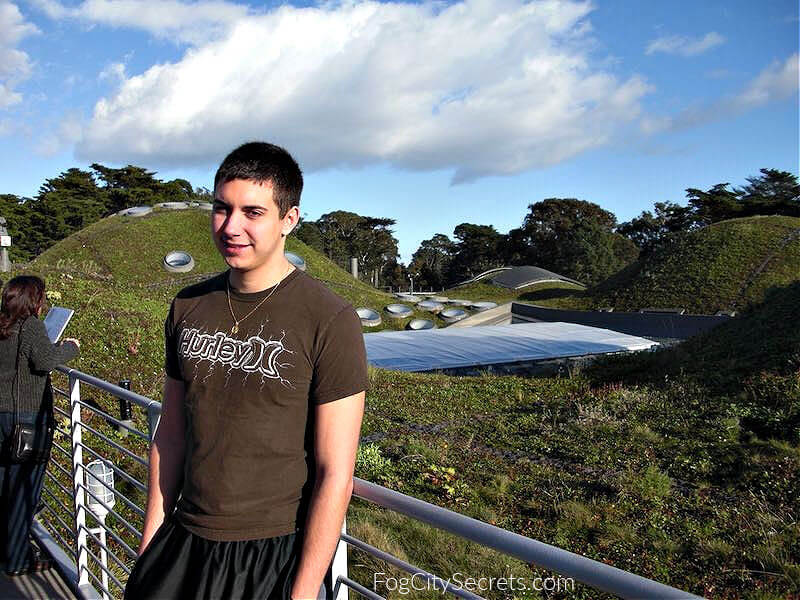 Visitor on the Living Roof of the Academy of Sciences Museum 