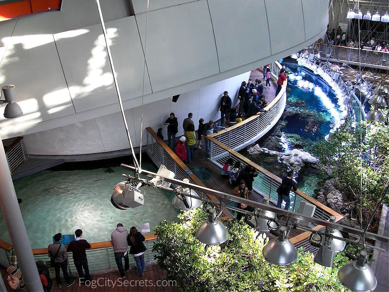 Outside the Planetarium at the Academy of Sciences SF