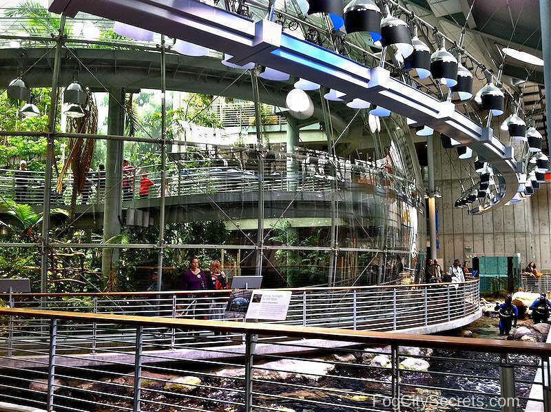 Rainforest dome at the Academy of Sciences Museum SF