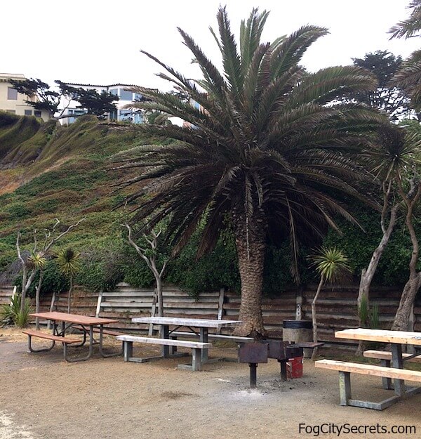 Picnic area at China Beach Picnic area at China Beach