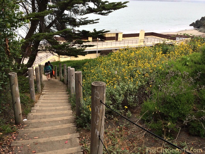 Stairs down to China Beach, San Francisco Stairs down to China Beach, San Francisco