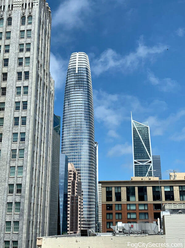 Downtown view of San Francisco from SF MOMA