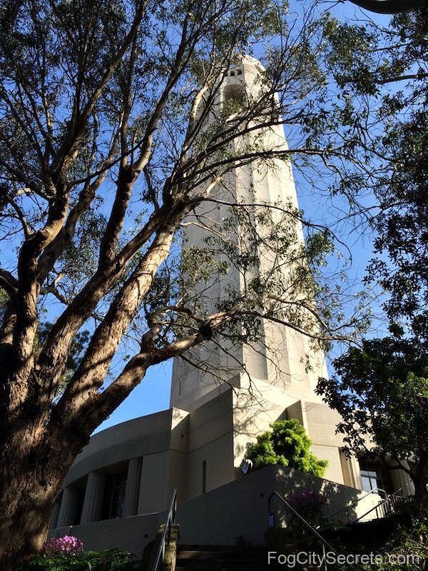 Looking up at Coit Tower 
