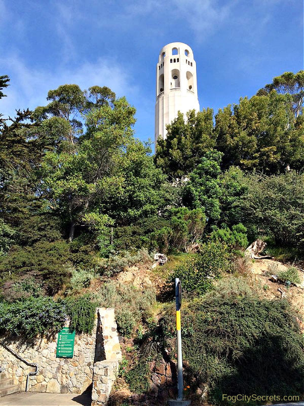 Coit Tower from Filbert Steps