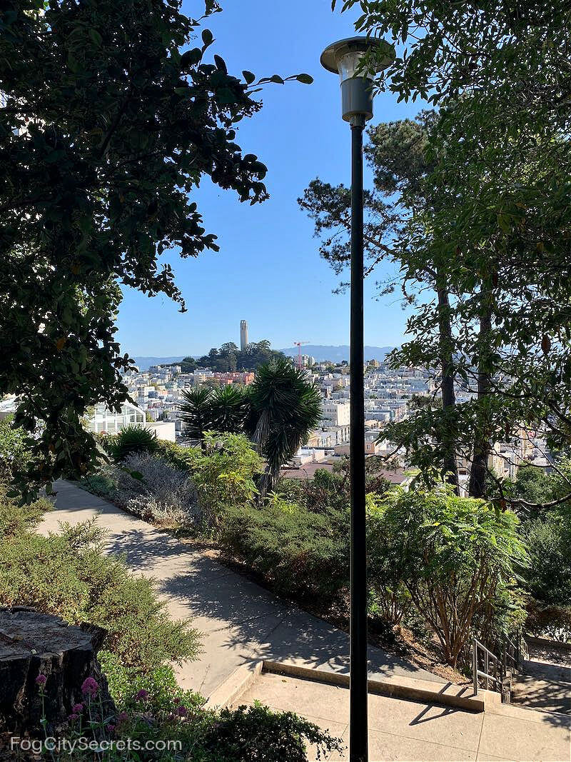 Ina Coolbrith Park Coit Tower view
