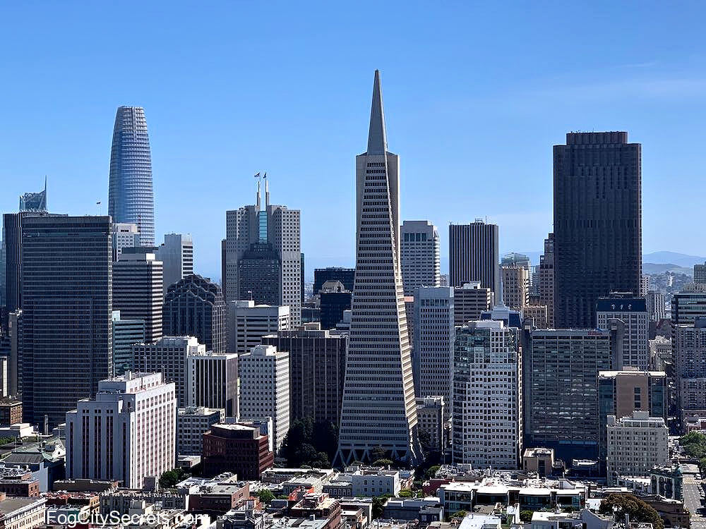 Downtown San Francisco view from Coit Tower