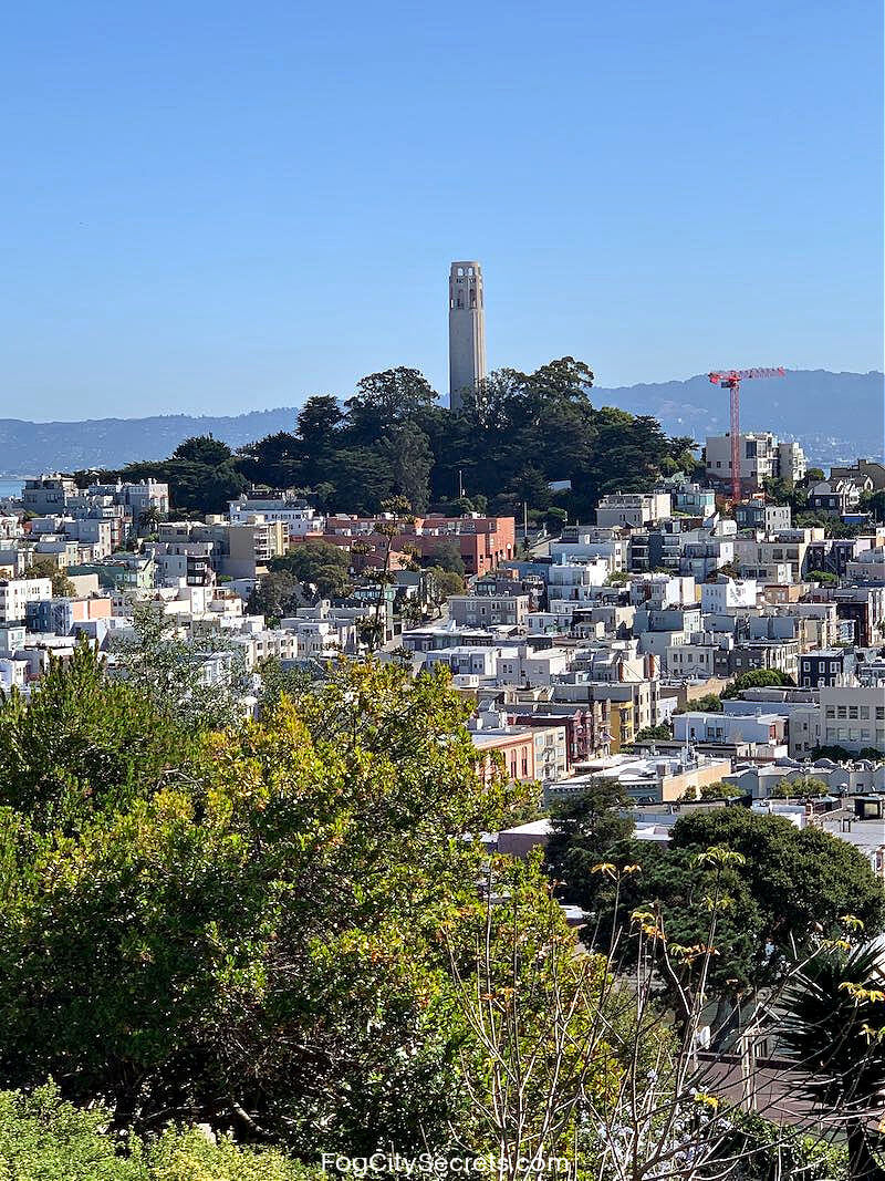 Coit Tower view from Ina Coolbrith Park SF