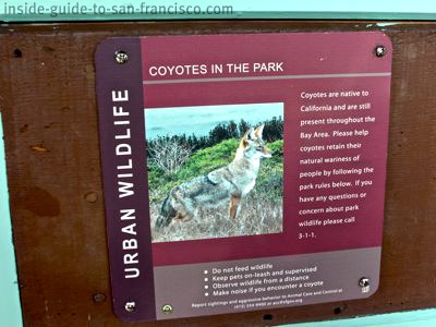 Coyote warning sign at Stow Lake