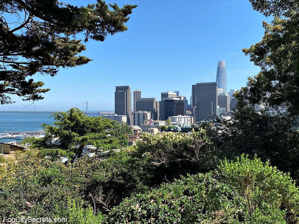Downtown SF view from the Filbert Steps