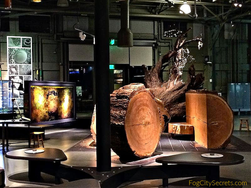 Exhibits at the Exploratorium at night Exhibits at the Exploratorium at night