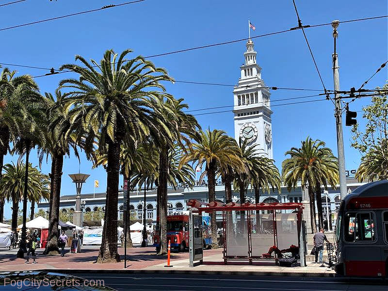 Ferry building San Francisco and palm trees Ferry building San Francisco and palm trees