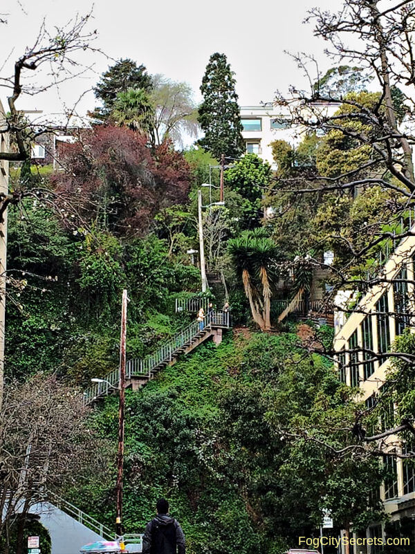 Filbert Steps SF full view