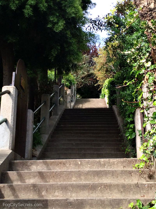 Filbert Steps: last set near the top