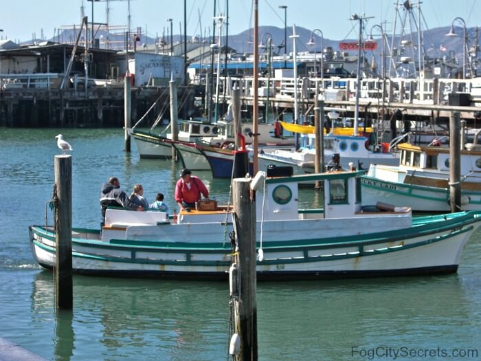 Fleet of Small Fishing Boats Around Pier 39, Fisherman's Wharf