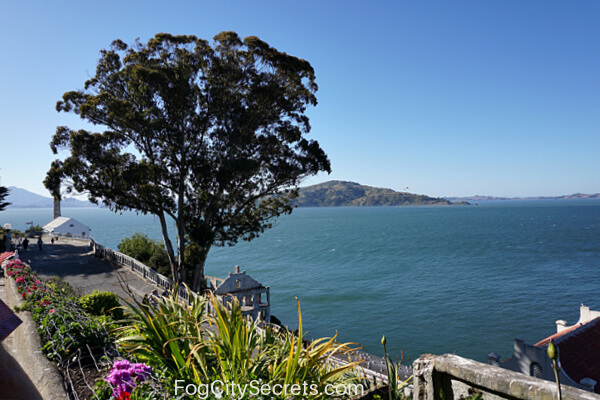 View from Alcatraz, gardens and Angel Island