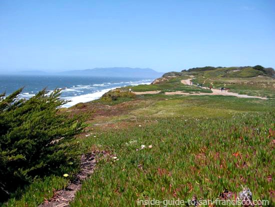 Path along the top of the bluffs at Fort Funston Path along the top of the bluffs at Fort Funston
