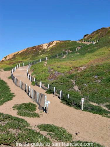 Path climbing up from Fort Funston beach Path climbing up from Fort Funston beach