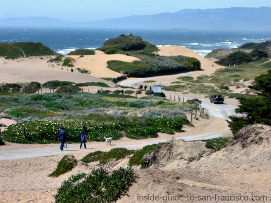 Path at Fort Funston heading for Ocean Beach Path at Fort Funston heading for Ocean Beach