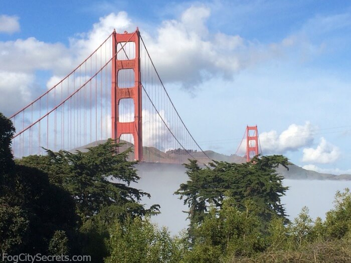 Golden Gate Bridge rising from the fog, Battery East path.