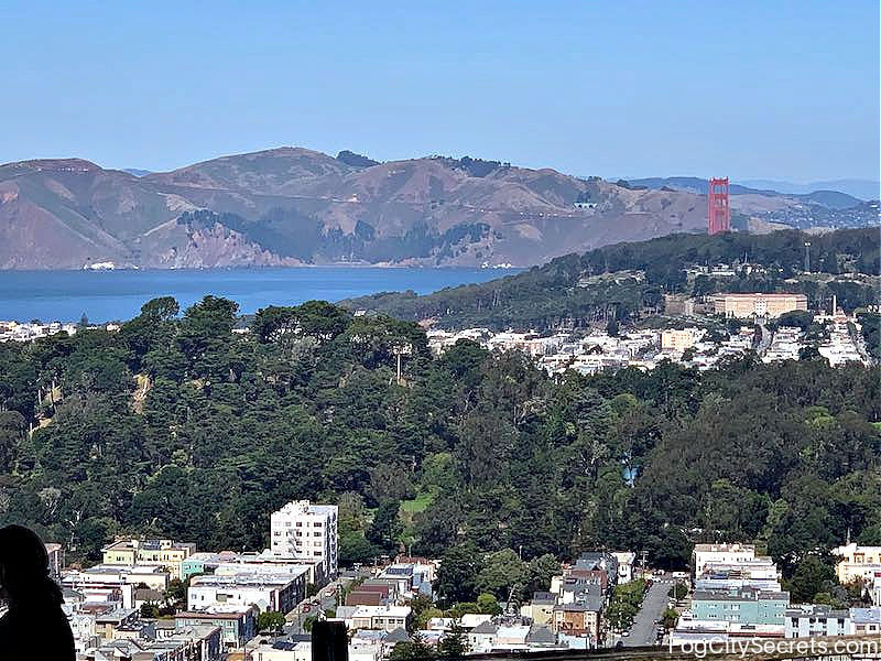 Golden Gate Bridge view from Grandview Park