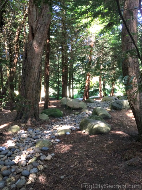sekwoje i dry stream bed in the AIDS Memorial Grove, Golden Gate Park