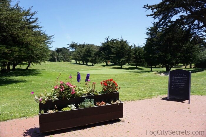 Fairway at the Golden Gate Park Golf course Fairway and patio, Golden Gate Park golf course.