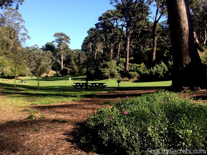 Picnic Areas in Golden Gate Park Picnic areas, Golden Gate Park