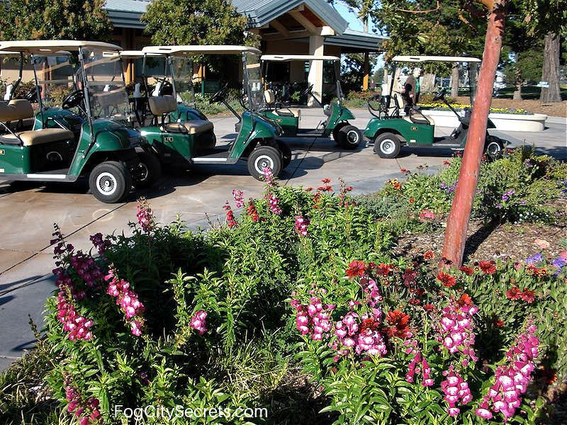 Golf carts in front of Harding Park Golf Club